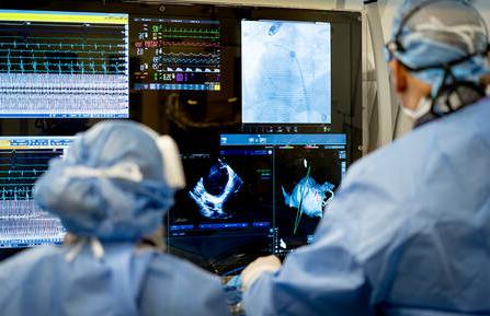 Medical professionals reviewing an image of a heart